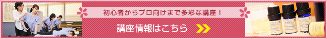 初心者からプロ向けまで多彩な講座！講座情報はこちら