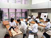 生徒たちがペアで手技を行っている写真